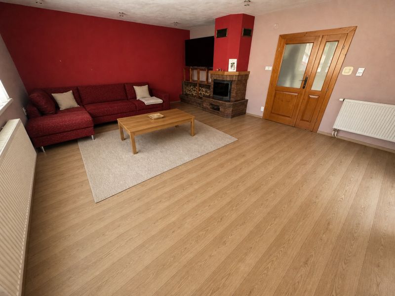 Living room in a family house with a red wall, fireplace, and wood-patterned floor.