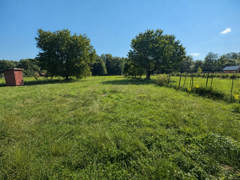 A grassy plot in Liptovské Kľačany with a wooden shed and trees.
