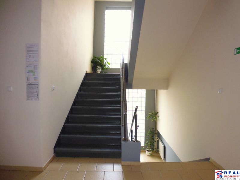 A staircase with a large window and greenery in the offices.