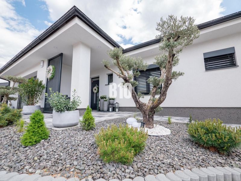 A family house in Nitra with a landscaped garden, ornamental shrubs, and stone design.