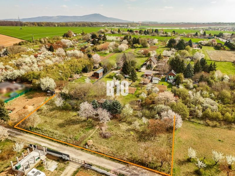 A residential building plot in Nitra surrounded by greenery and blooming trees.