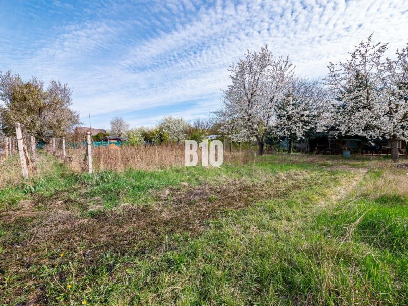 Plots - housing in Nitra with blossoming trees and a fence in a natural environment.