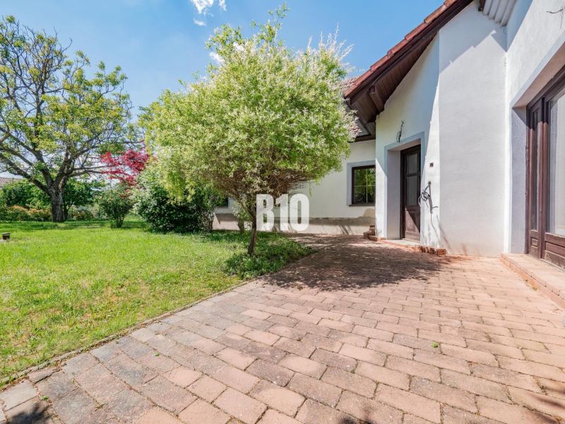 A family house in Nitra with a terrace, garden, and trees on a grassy area.