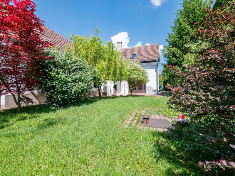 A well-maintained garden of a family house in Nitra, surrounded by greenery and flowers.