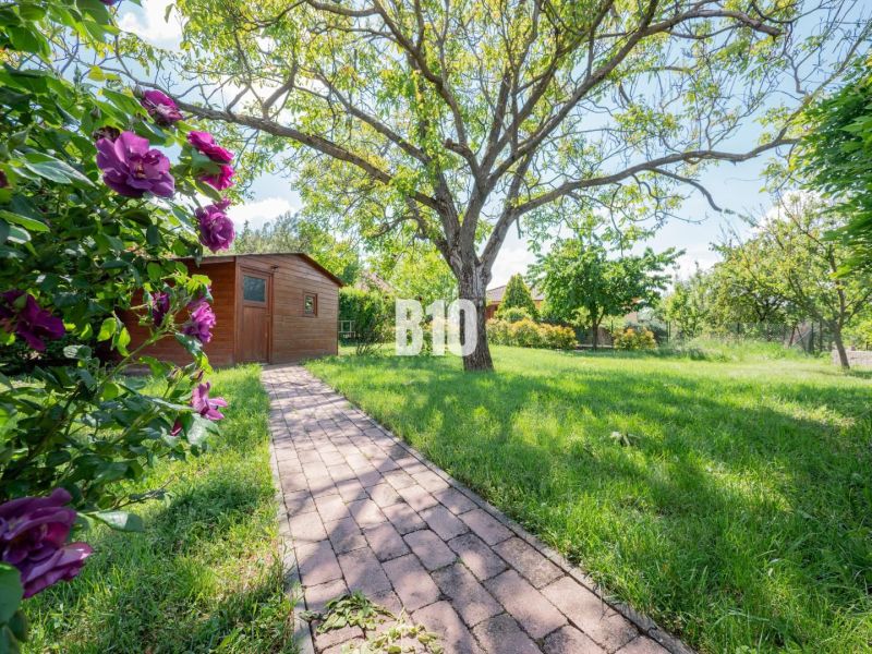 A garden of a family house in Nitra with a wooden house and flowers.