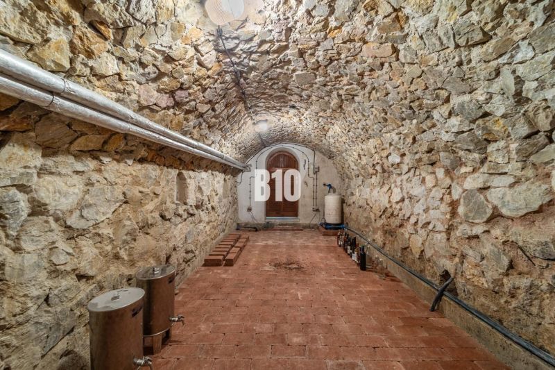 Stone cellar of a family house with an arched ceiling and brick floor.