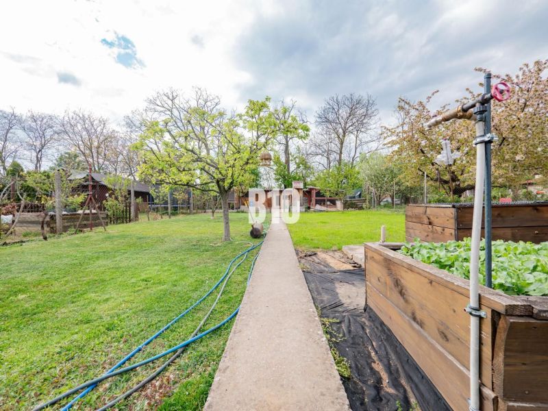 A garden in a family house in Nitra with a walkway, greenery, and raised beds.