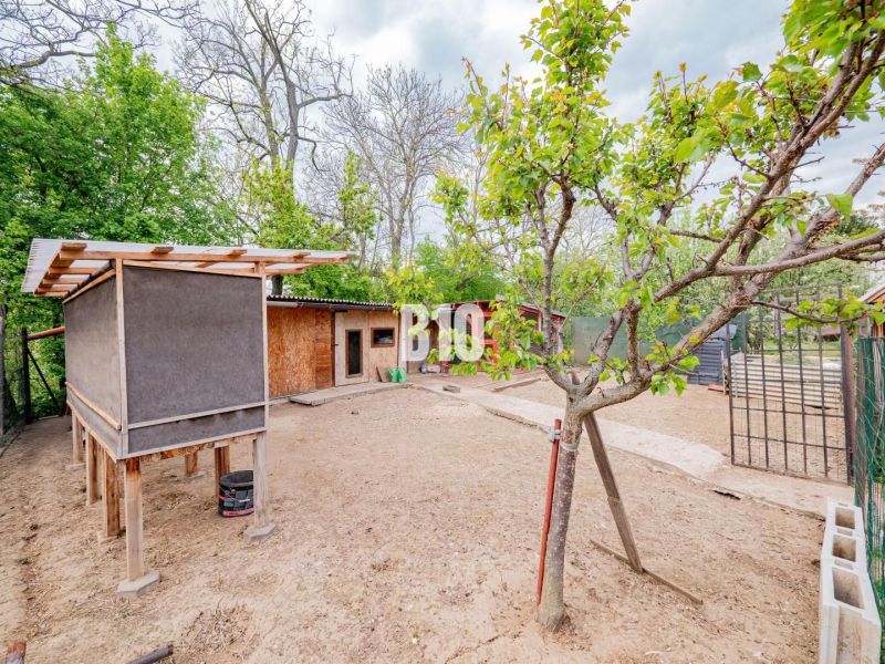 A garden with wooden structures and trees near a family house in Nitra.