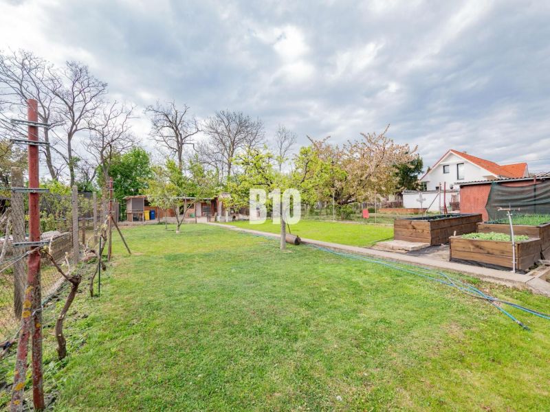 View from a family house in Nitra with a lawn and garden beds.