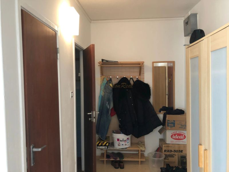 Hallway in a one-room apartment with a coat rack, shoe cabinet, and cardboard boxes.