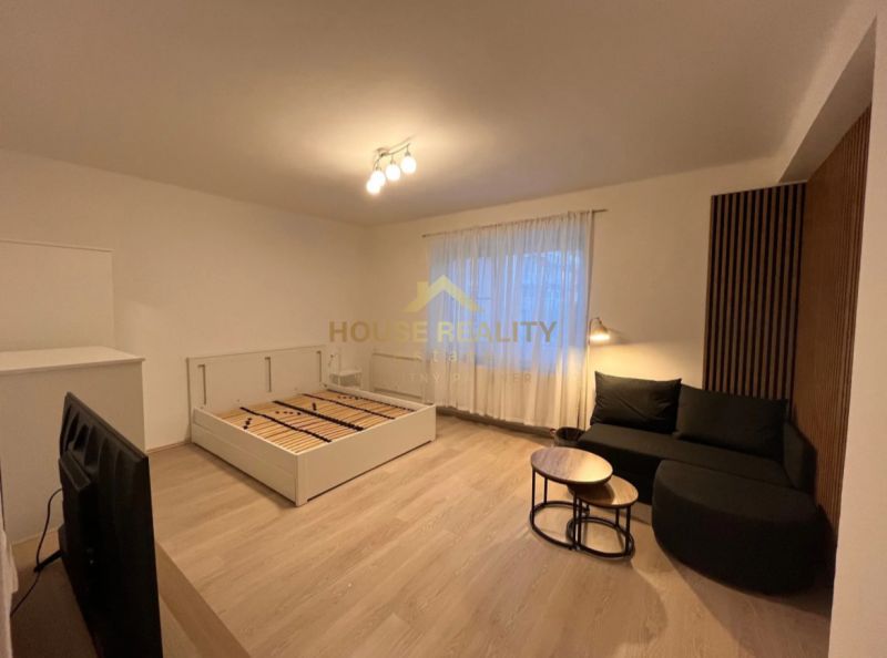 Interior of a 1-room apartment with a wooden decor floor, sofa, and bed.
