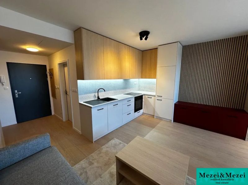 Kitchen unit with appliances, wooden decor flooring, and red storage space.