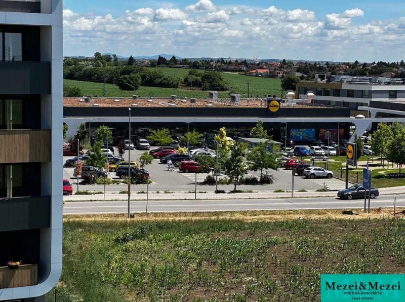 View of the supermarket with a parking lot on Gen. Goliána Street in Trnava.