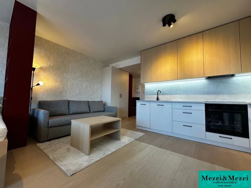 Kitchen unit and sofa in a studio apartment with a wood-patterned floor.