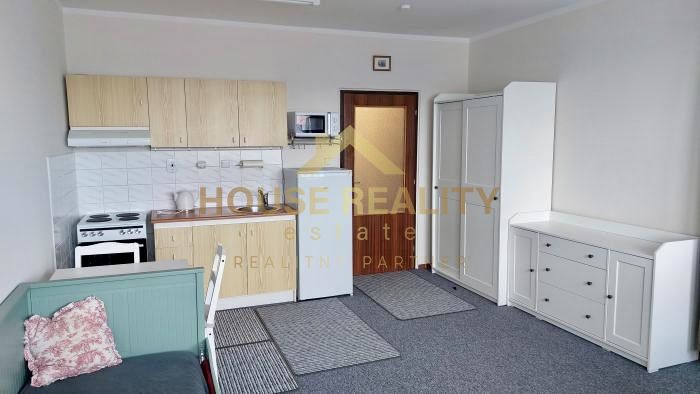 Studio apartment with a kitchen, sofa, and furniture, wooden decor flooring, Bratislava.