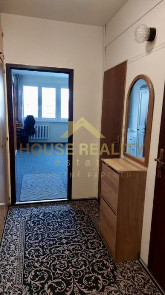 A hallway in a studio apartment with a carpet and wooden decor furniture.