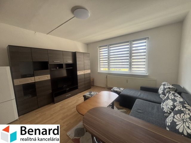 Living room in a two-room apartment with a gray sofa and a wooden decor floor.