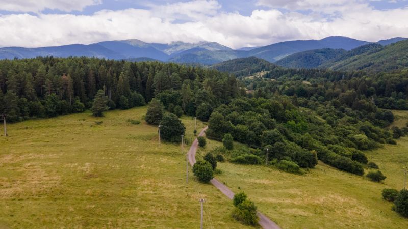 The nature surrounding Horná Lehota with forests and a road between meadows.