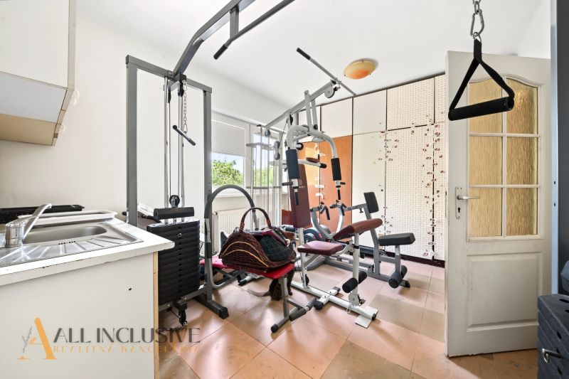 Fitness facility in a family house with exercise machines and a sink.
