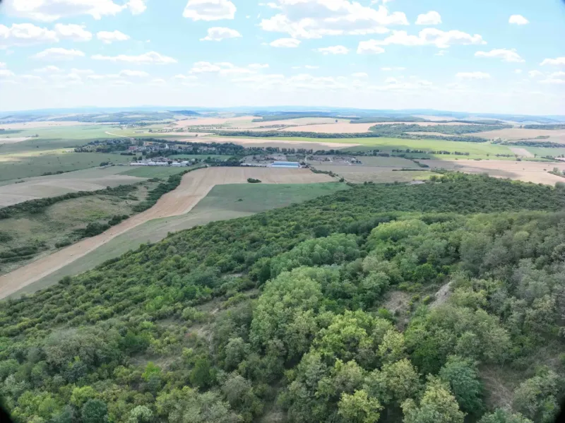 Aerial view of agricultural and forest land around Tornala.
