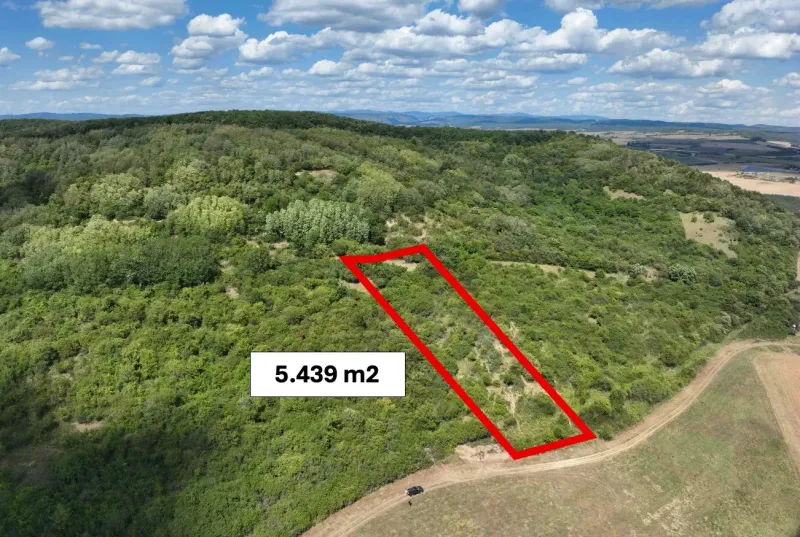 Agricultural and forest lands in Tornaľa surrounded by dense forests and greenery.