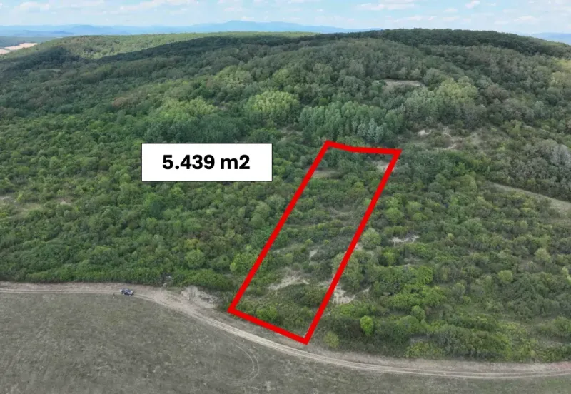 Agricultural and forest land in Tornaľa with an area of 5,439 m², surrounded by greenery.