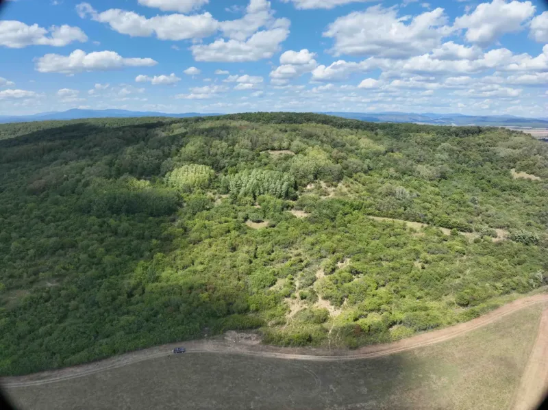 Wooded agricultural and forest lands around Tornaľa under a blue sky.
