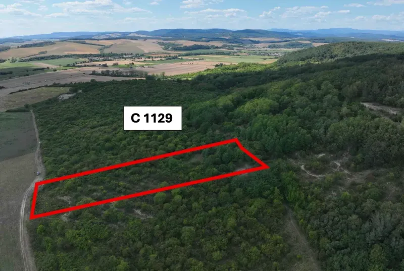 Agricultural and forest lands in Tornaľa with marked area and picturesque surroundings.