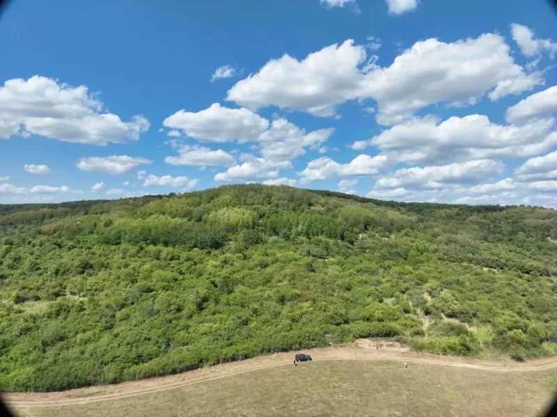 Agricultural and forest lands in Tornaľa with beautiful green hills and blue skies.