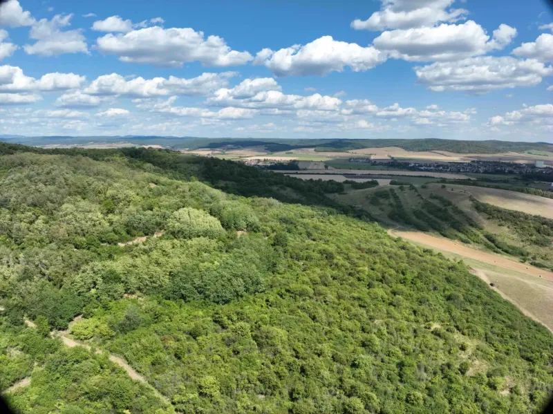 Hilly green terrain and extensive agricultural and forest lands in Tornaľa, on a clear day.