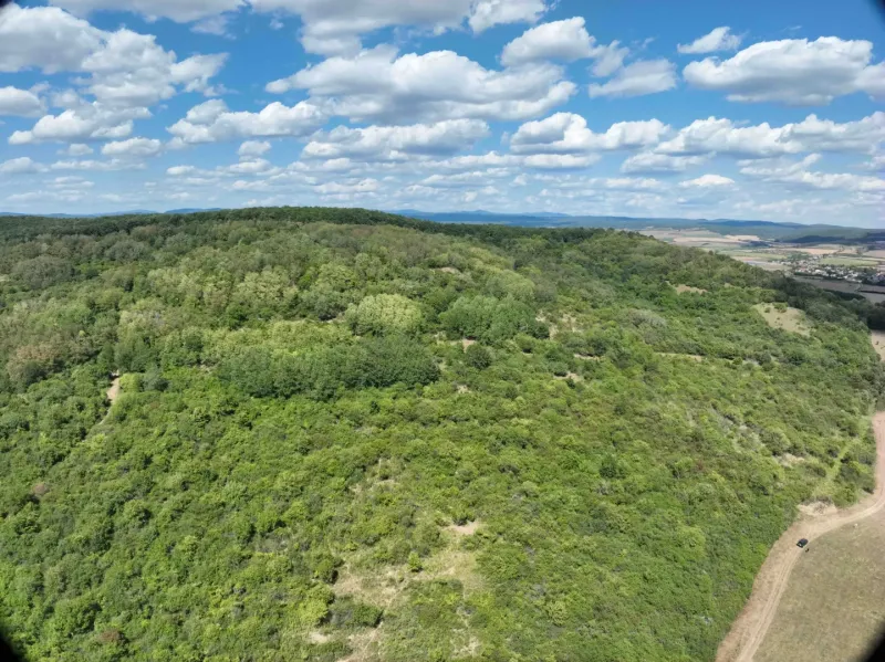 Meadows and forests around Tornele, agricultural and forest lands, under the blue sky.