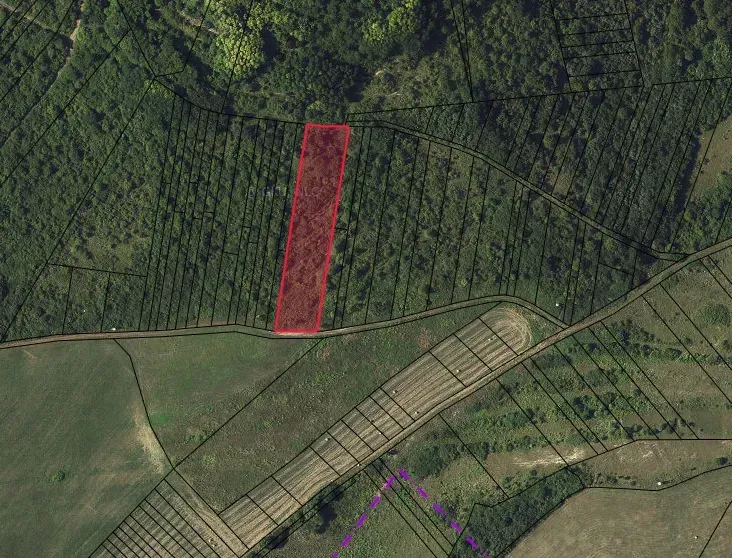 Agricultural and forest land in Tornala, clearly marked parcel boundary in red.