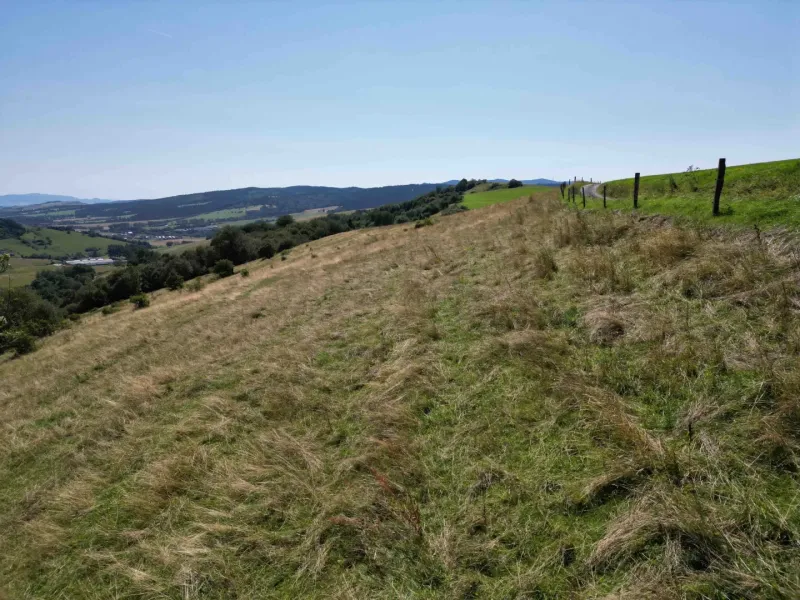 The landscape in Stará Ľubovňa with unique properties offers a view of the pasture and hills.