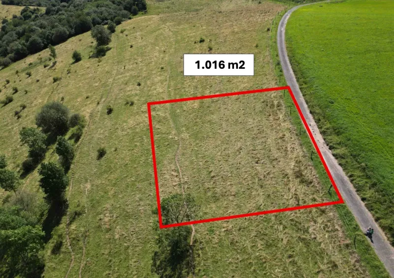 A plot of land with an area of 1,016 m², special properties, Stará Ľubovňa, next to the road, green meadow.