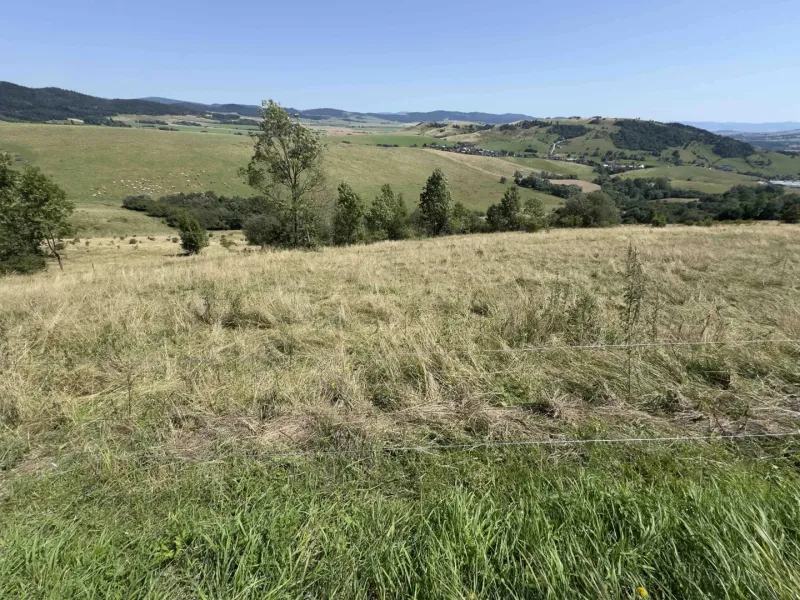 Hilly landscape and meadows with a view in the area of Special Properties in Stará Ľubovňa.
