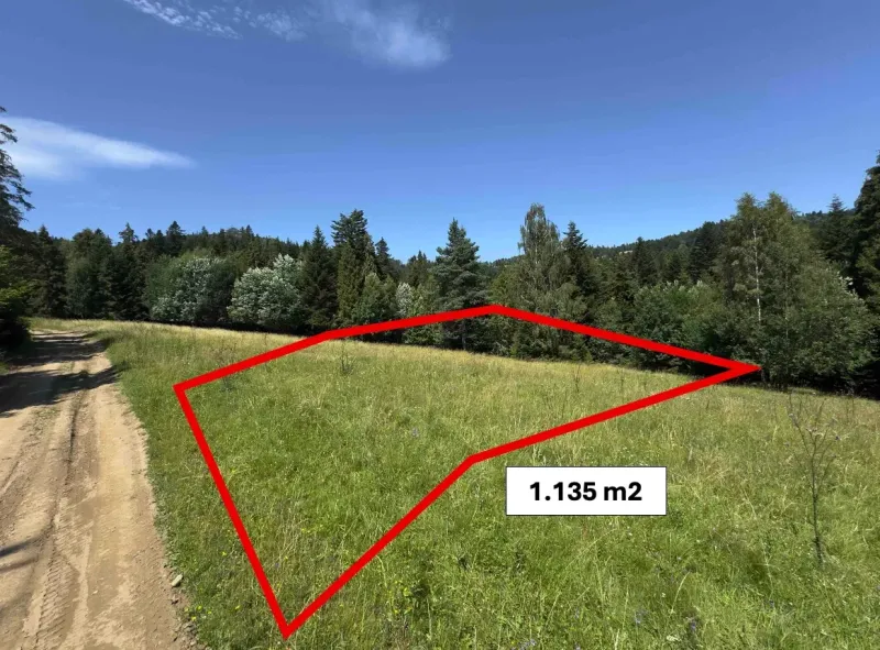 A plot of land with an area of 1,135 m² in nature near unique properties in Stará Ľubovňa.