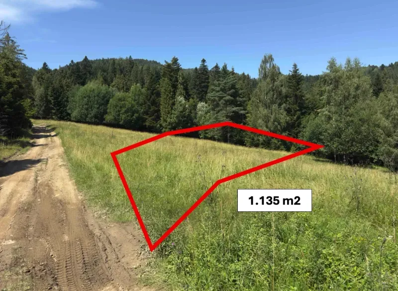 A plot of land near the forest in the area of Stará Ľubovňa, with a marked area of 1,135 m², Special properties.