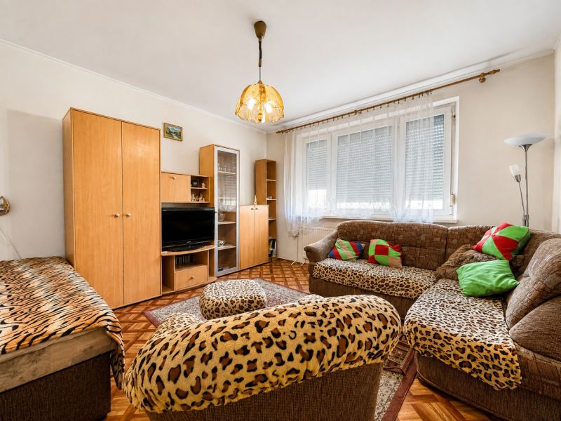 Living room with rustic furniture and animal-patterned upholstery in a studio apartment.