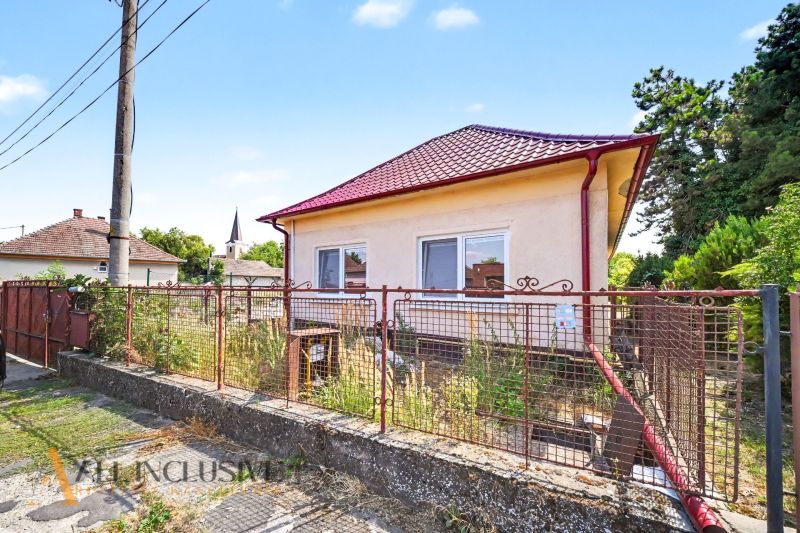 A family house in Vydrany with a red roof, fencing, and a garden full of vegetation.