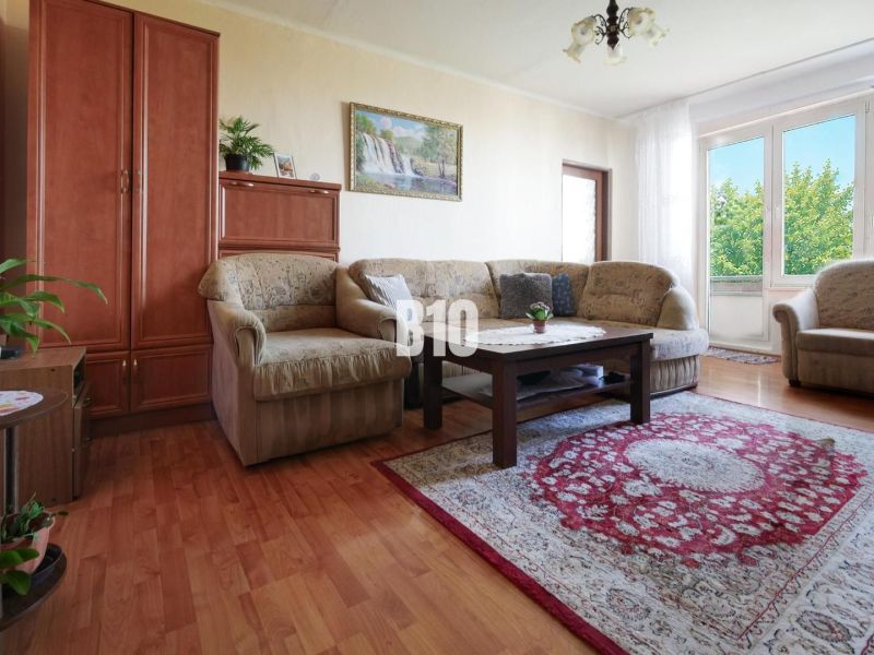 Living room with a sofa, carpet, and wooden decor flooring in a 2-room apartment.