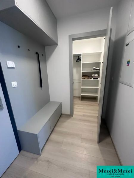 Entrance hallway with a wardrobe and a wooden decor floor in a 2-room apartment.