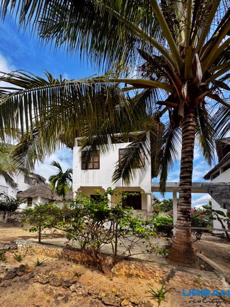 A family house in Pwani Mchangani surrounded by palm trees and flowers on a stone terrace.