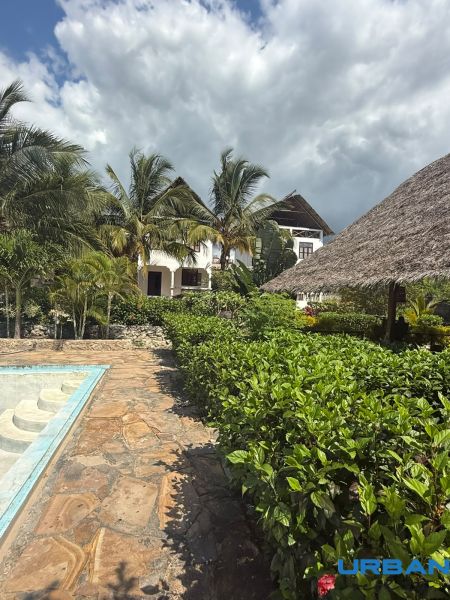 A family house in Fumba Town with a swimming pool, palm trees, and a gazebo on the terrace.
