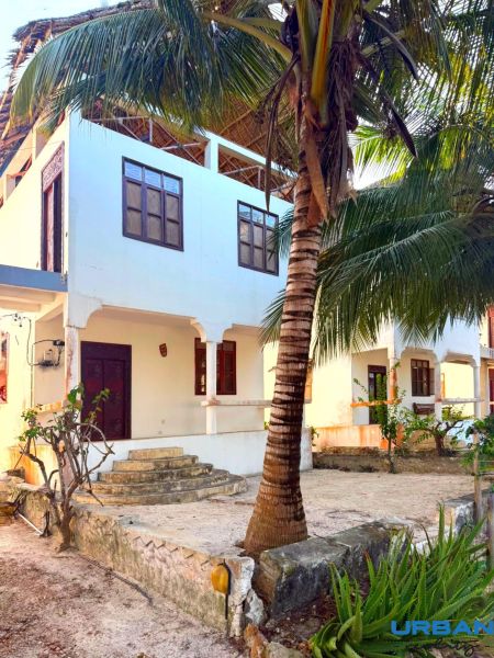 A family house in Fumba Town surrounded by palm trees and tropical vegetation, stairs leading to the veranda.