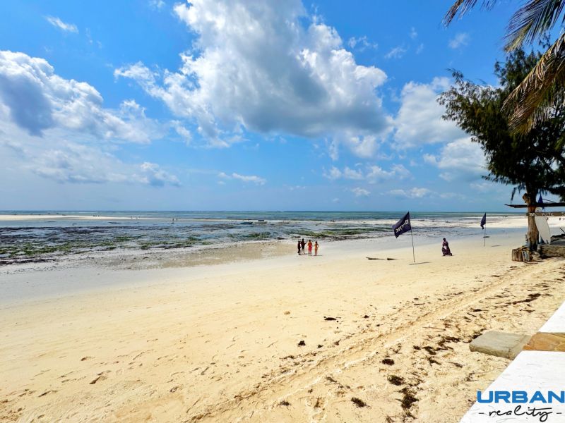 The beach in Fumba Town with fine sand and palm trees on the ocean shore.