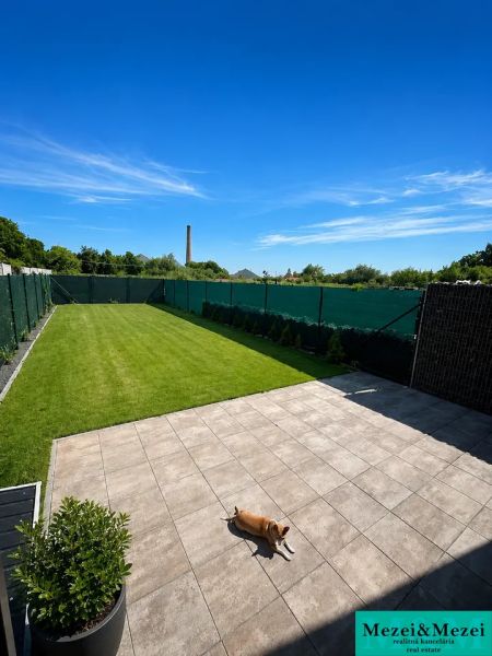 The terrace of a family house in Trnava with paving and green lawn, a dog is resting.