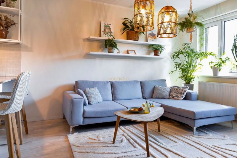 A bright living room with a blue sofa, flowers, and decorative shelves in a two-room apartment.