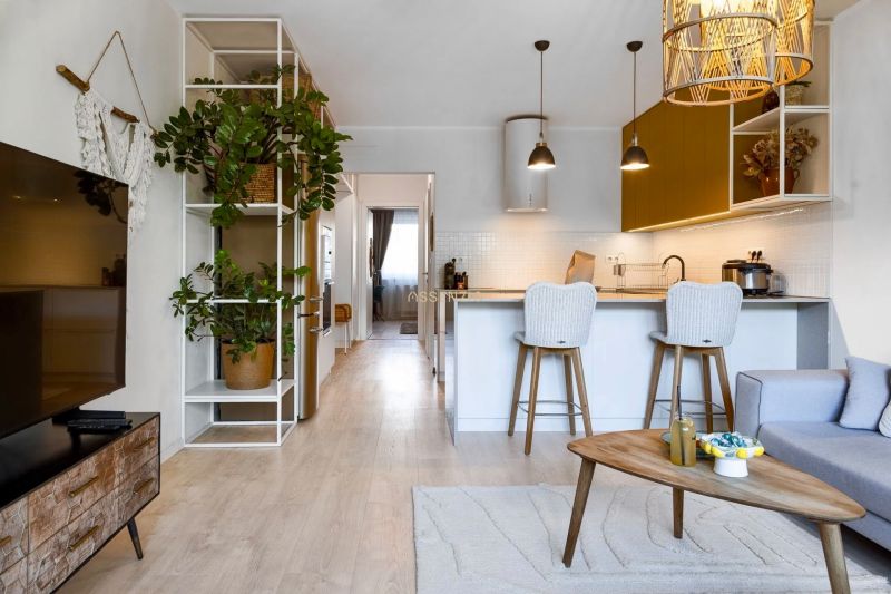 Interior of a 2-room apartment with a kitchen counter, wooden decor flooring, and greenery.
