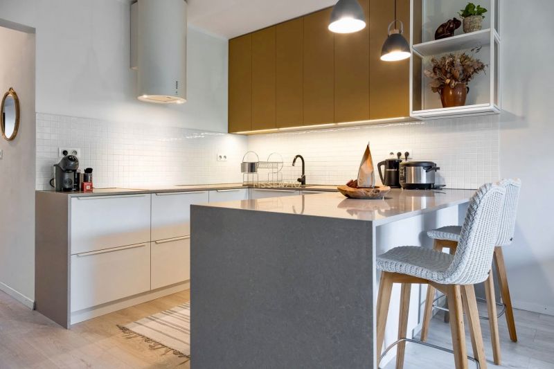 A kitchen with a wood-patterned floor, a dining counter, and pendant lights in a two-room apartment.