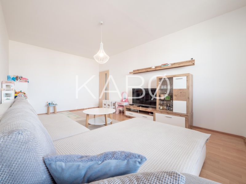 A bright living room with a large sofa, wooden decor flooring, cozy 2-room apartment.